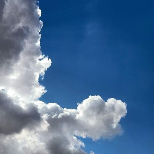 Photo #6065302