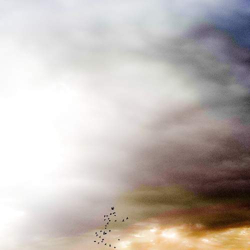 Photo #6065316