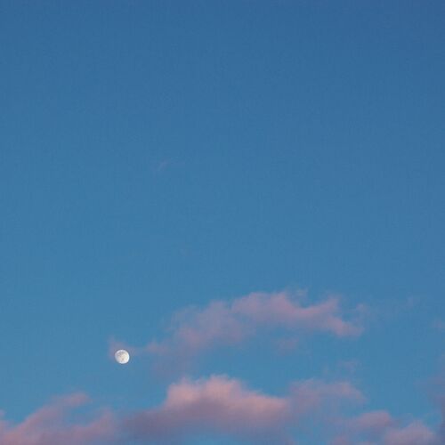 Photo #6065486