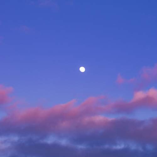 Photo #6065488