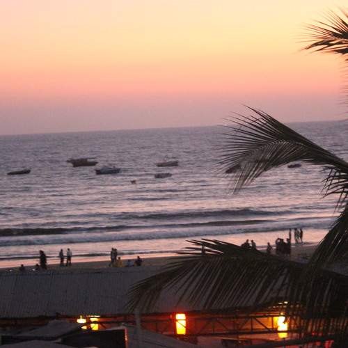 Photo #6065536