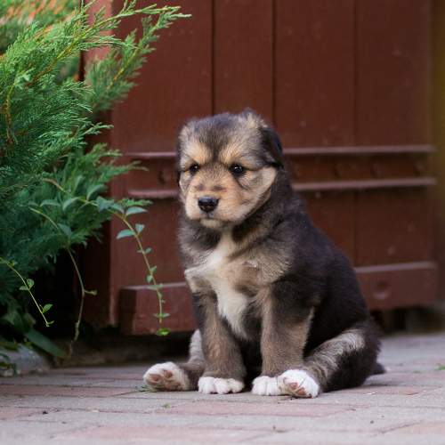 Photo #6065584