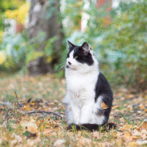 Photo #6065587