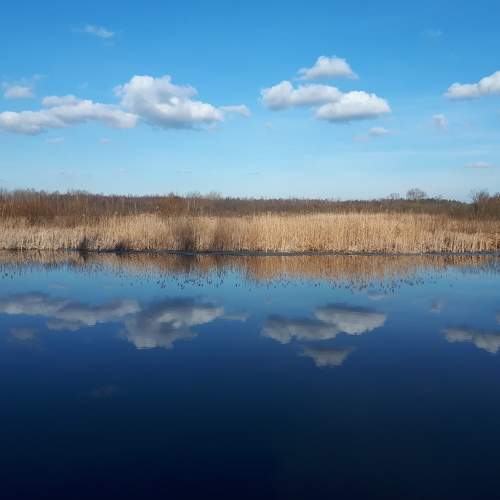 Photo #6065658