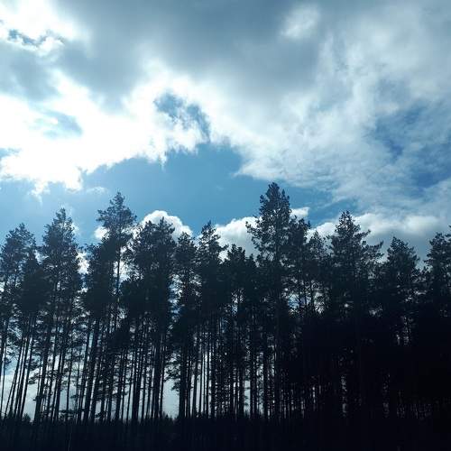 Photo #6065670