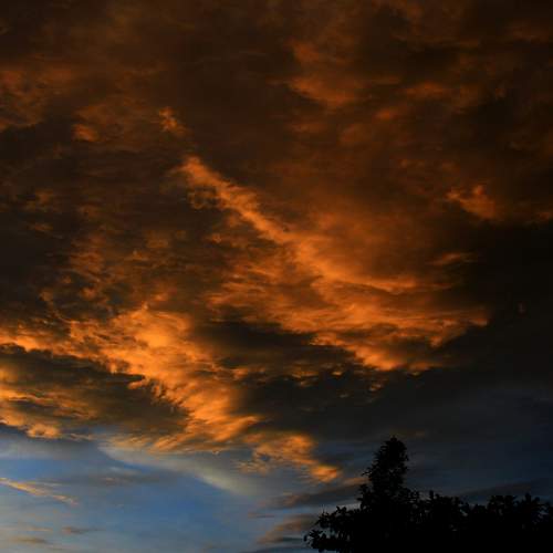 Photo #6065683