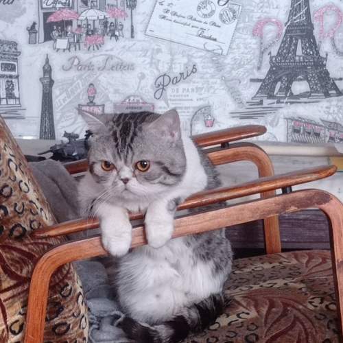 Photo #6065695