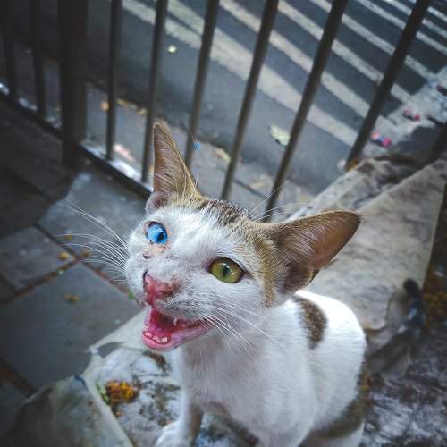 Photo #6065700