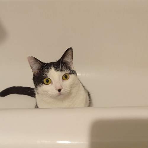 Photo #6065712