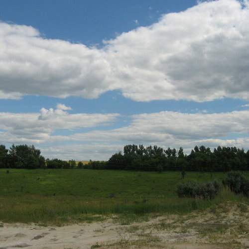 Photo #6065717