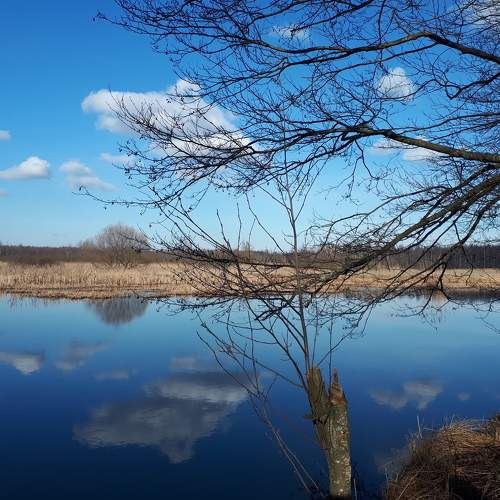 Photo #6065723