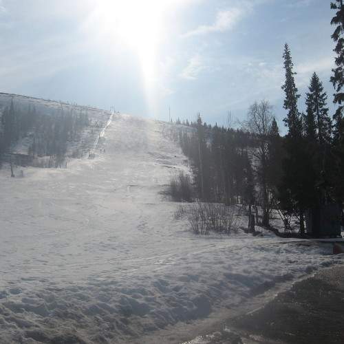 Photo #6065726