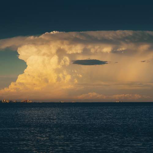 Photo #6065846
