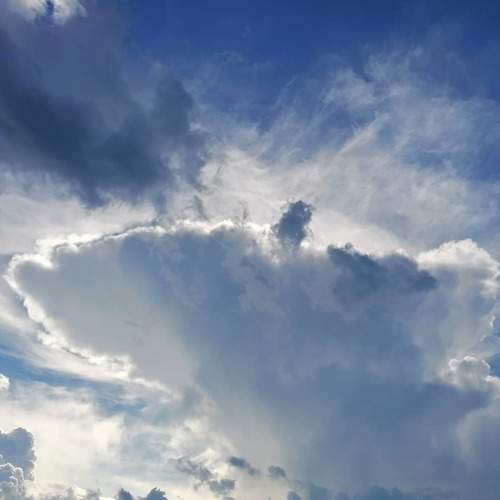 Photo #6065853