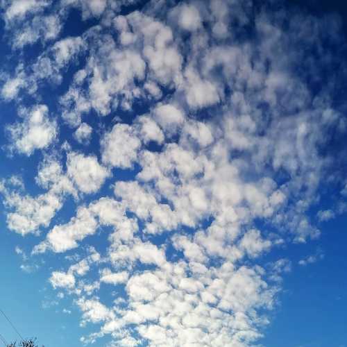 Photo #6065855