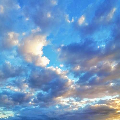 Photo #6065916
