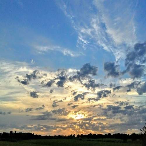 Photo #6065921