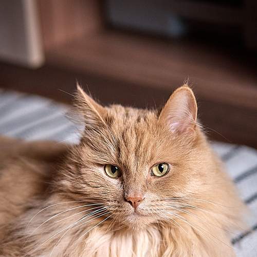 Photo #6066053