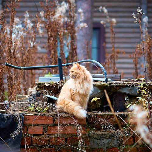 Photo #6066059