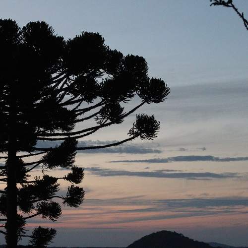 Photo #6066117