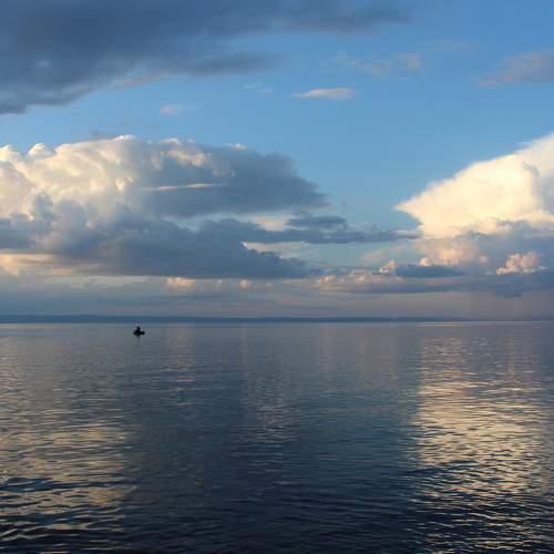 Photo #6066166