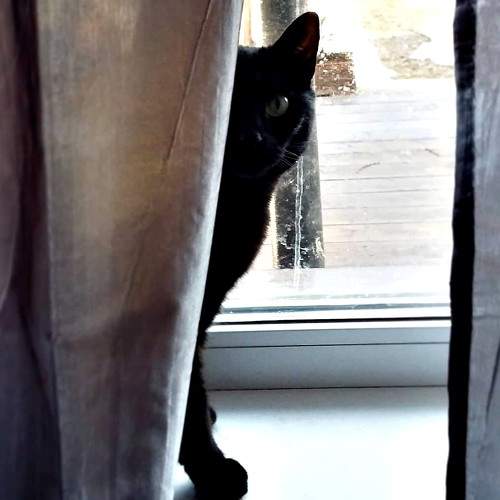 HELLO / привет