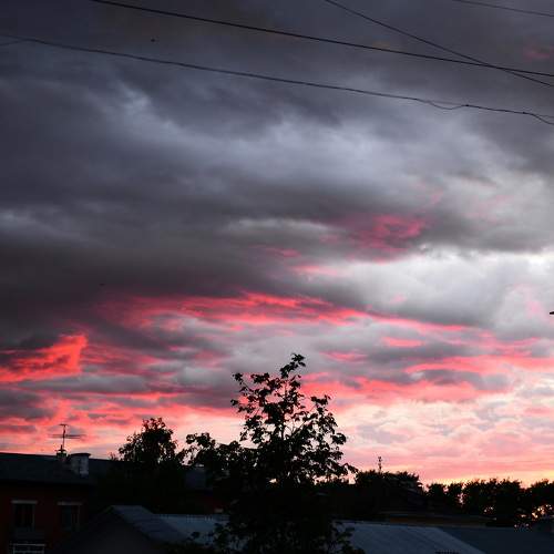 Photo #6066343