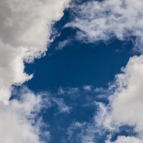 Photo #6066506