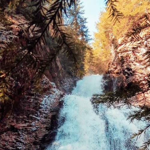 Photo #6066621