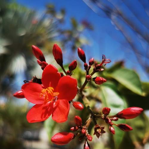 Photo #6066794