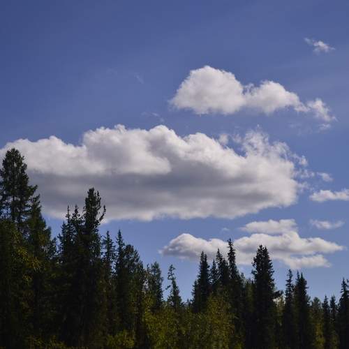 Photo #6066804