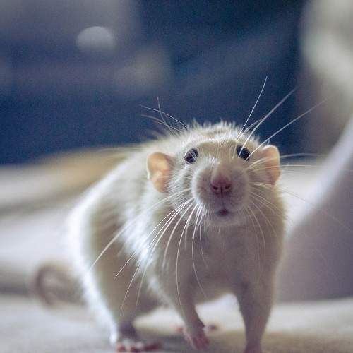 Photo #6066881