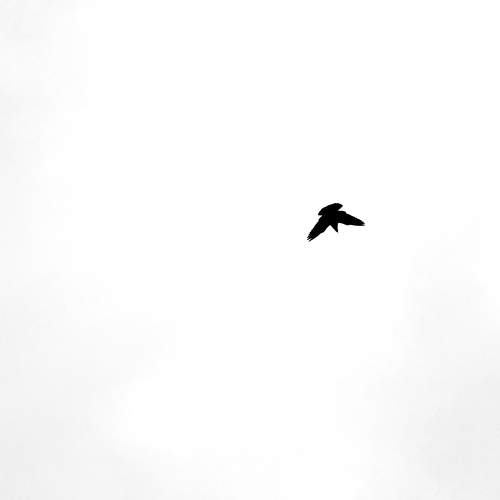 Photo #6067066