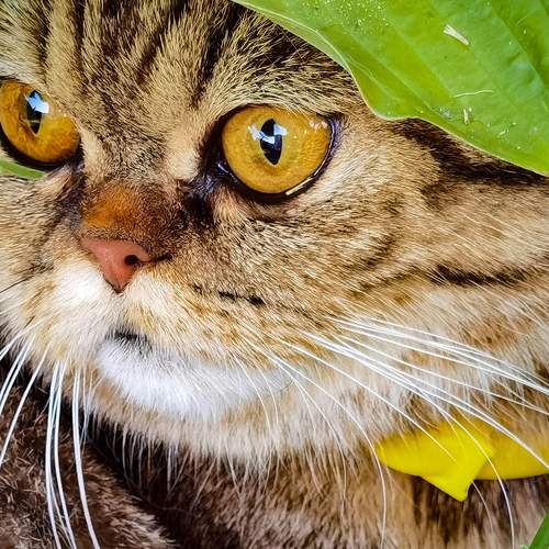 Photo #6067101