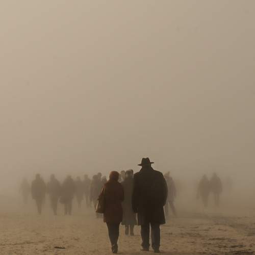 The fog