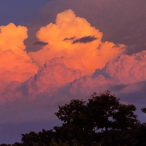 Photo #6067223