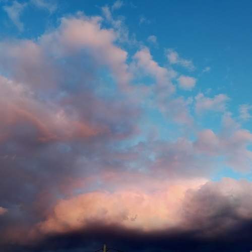 Photo #6067438
