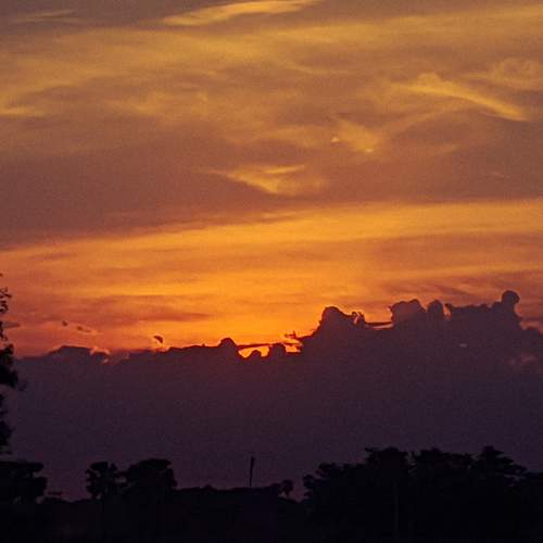 Photo #6067490