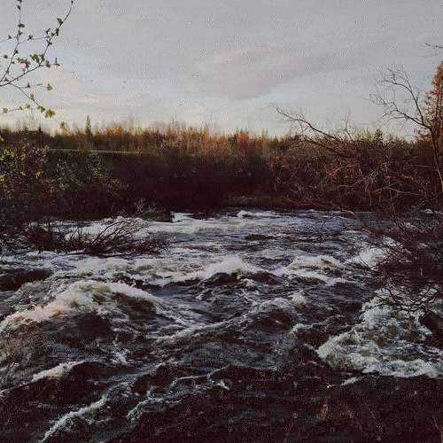 Photo #6067530