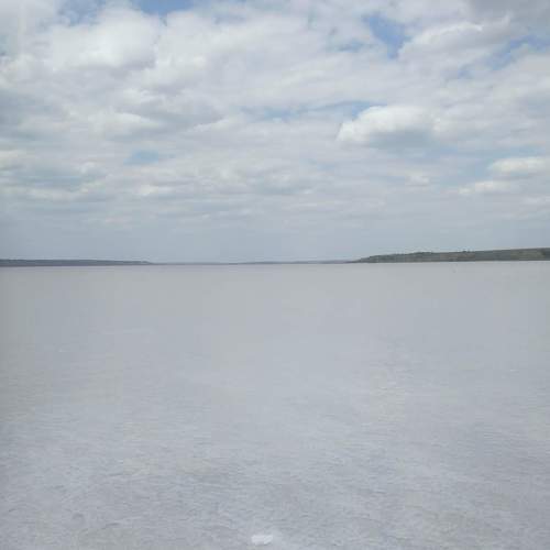 Photo #6067725
