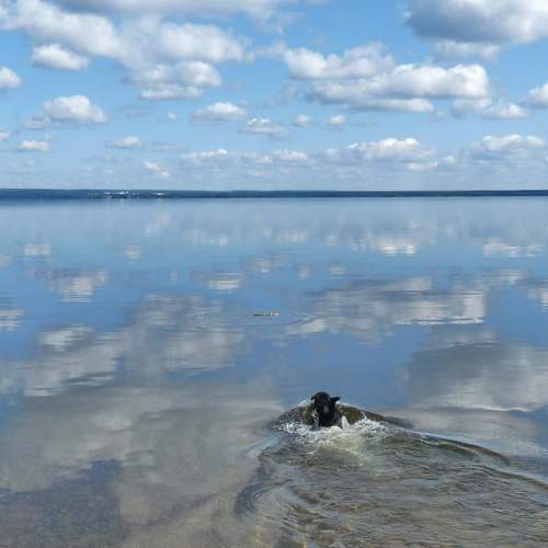 Photo #6067886