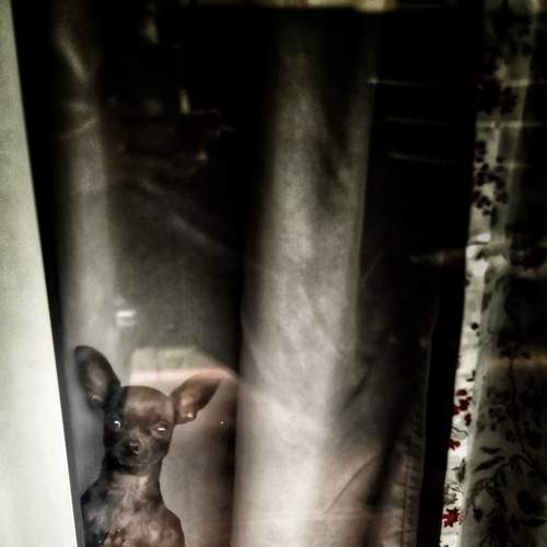 Photo #6067930