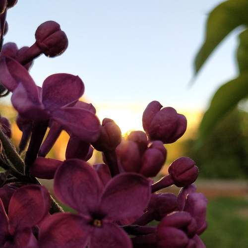Photo #6068026