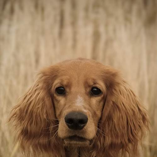 Photo #6068309