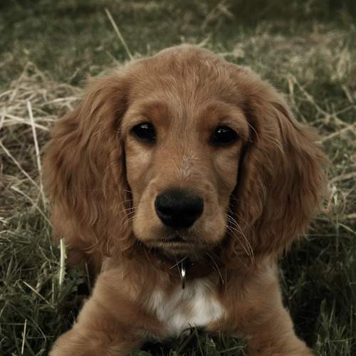 Photo #6068319
