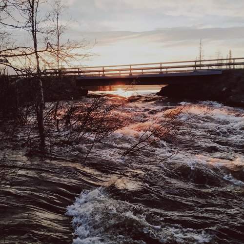 Photo #6068769