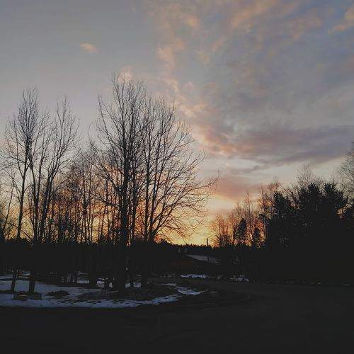 Photo #6068785