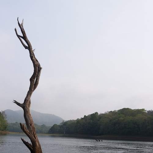 Photo #6069180