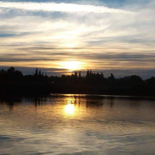 Photo #6069258