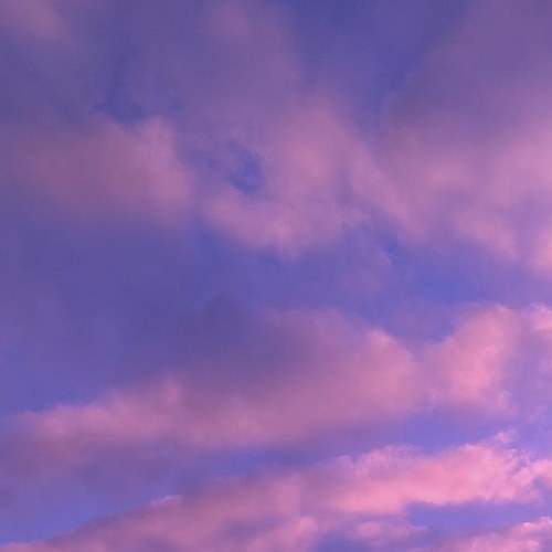 Photo #6069330